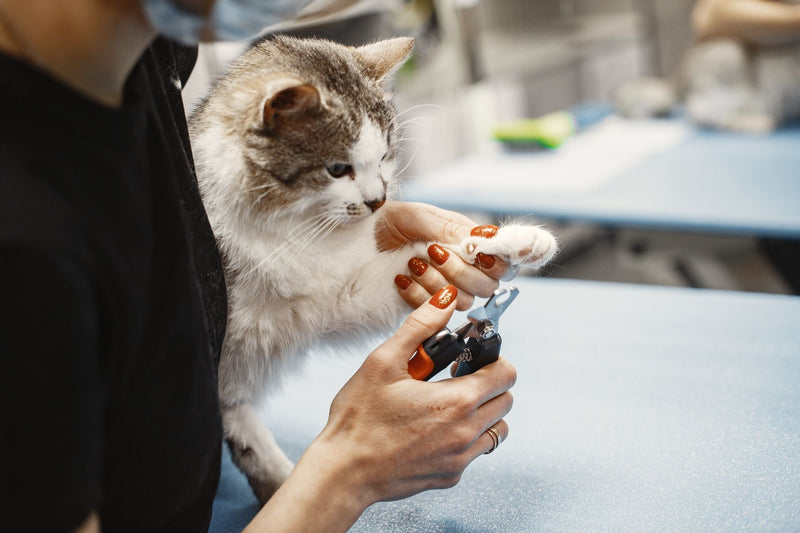 Grooming Tools