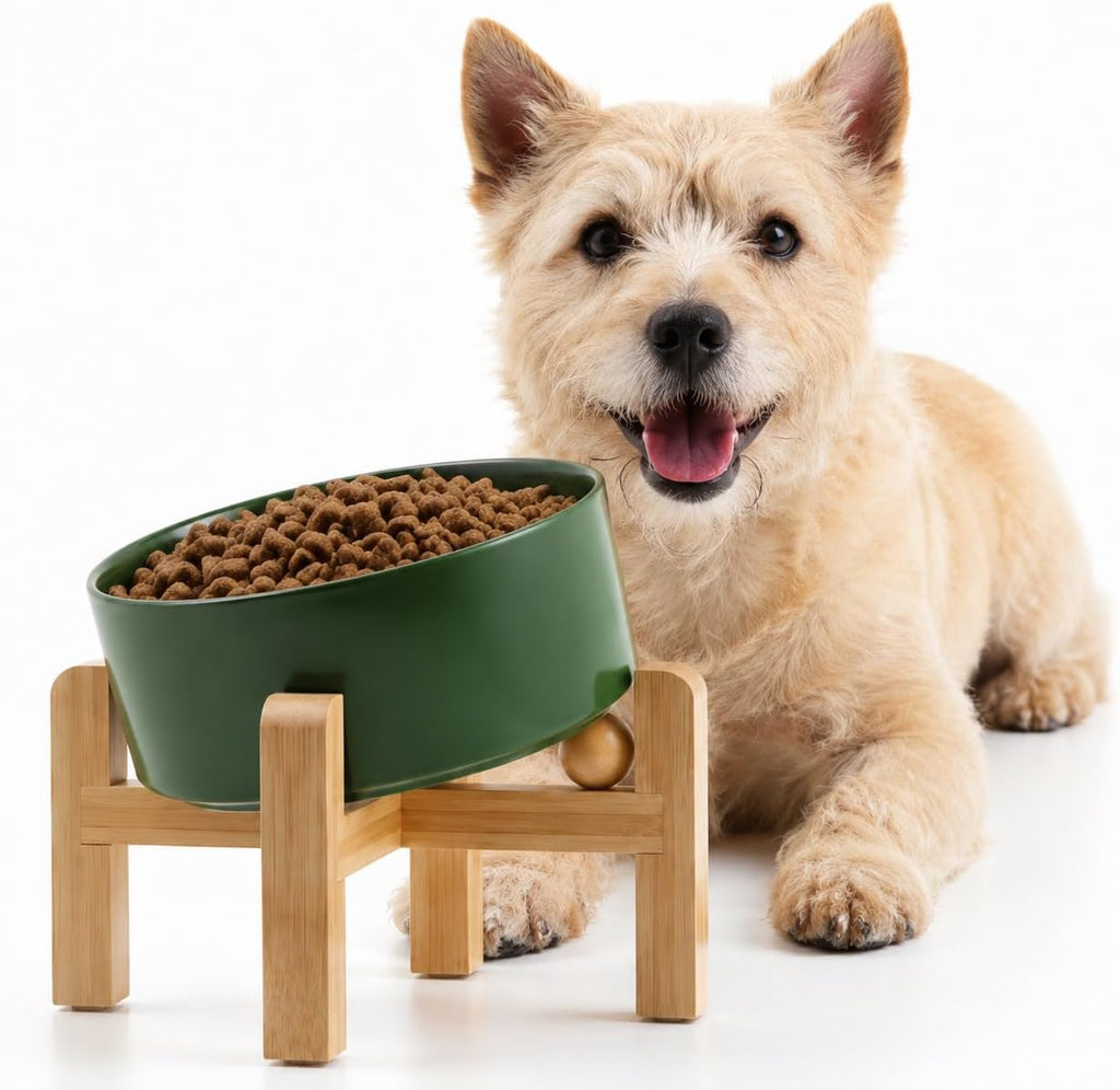 Raised Slanted Ceramic Pet Bowl