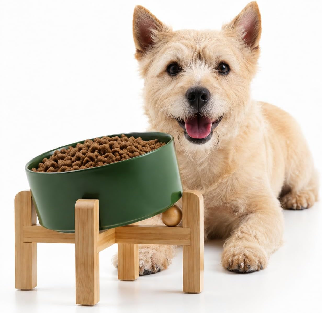 Raised Slanted Ceramic Pet Bowl