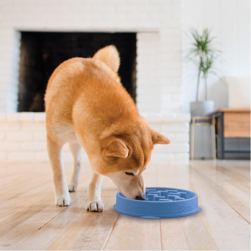 Slow Feeder Pet Bowl