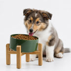 Raised Slanted Ceramic Pet Bowl