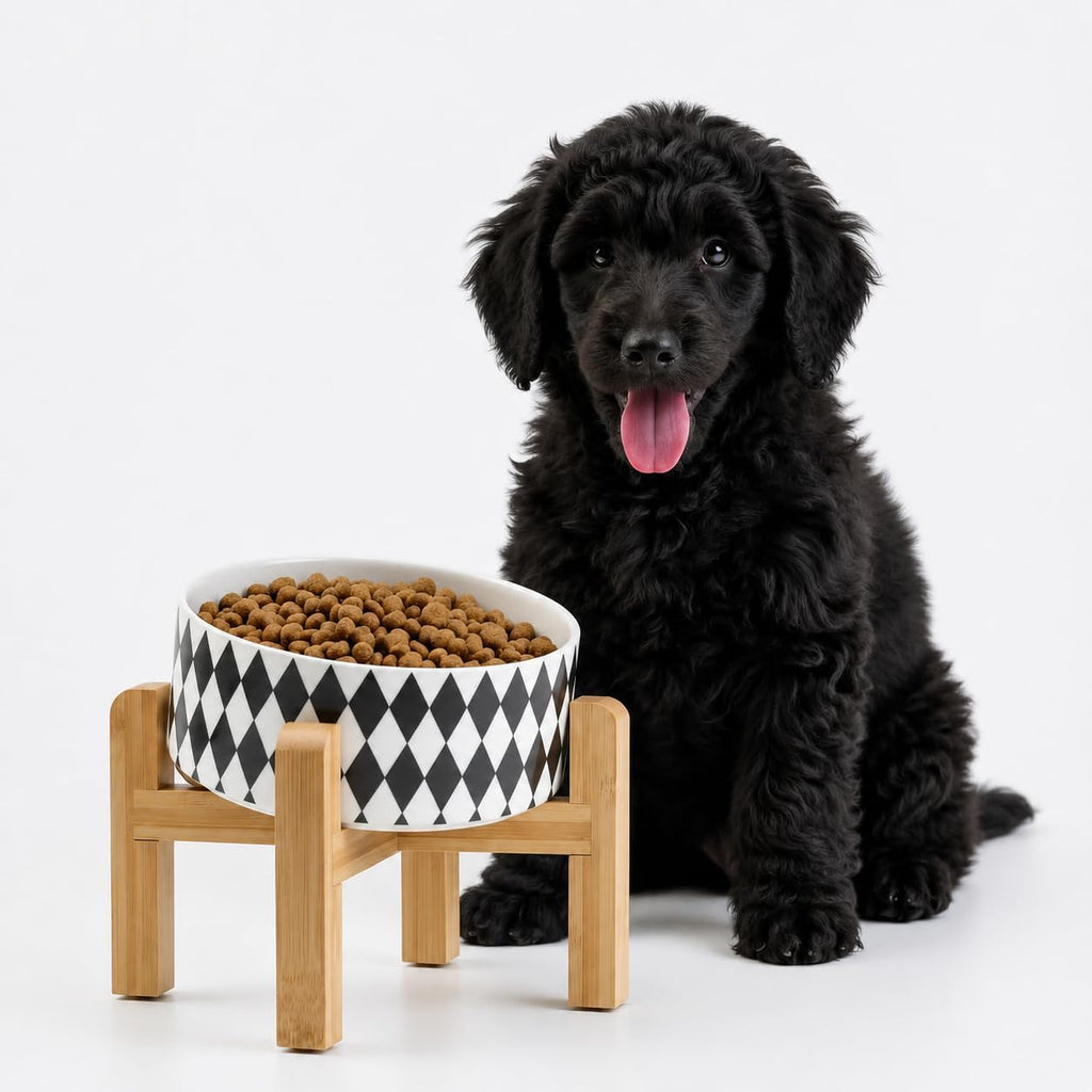 Raised Slanted Ceramic Pet Bowl