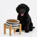 Raised Slanted Ceramic Pet Bowl