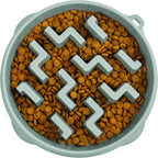 Slow Feeder Pet Bowl