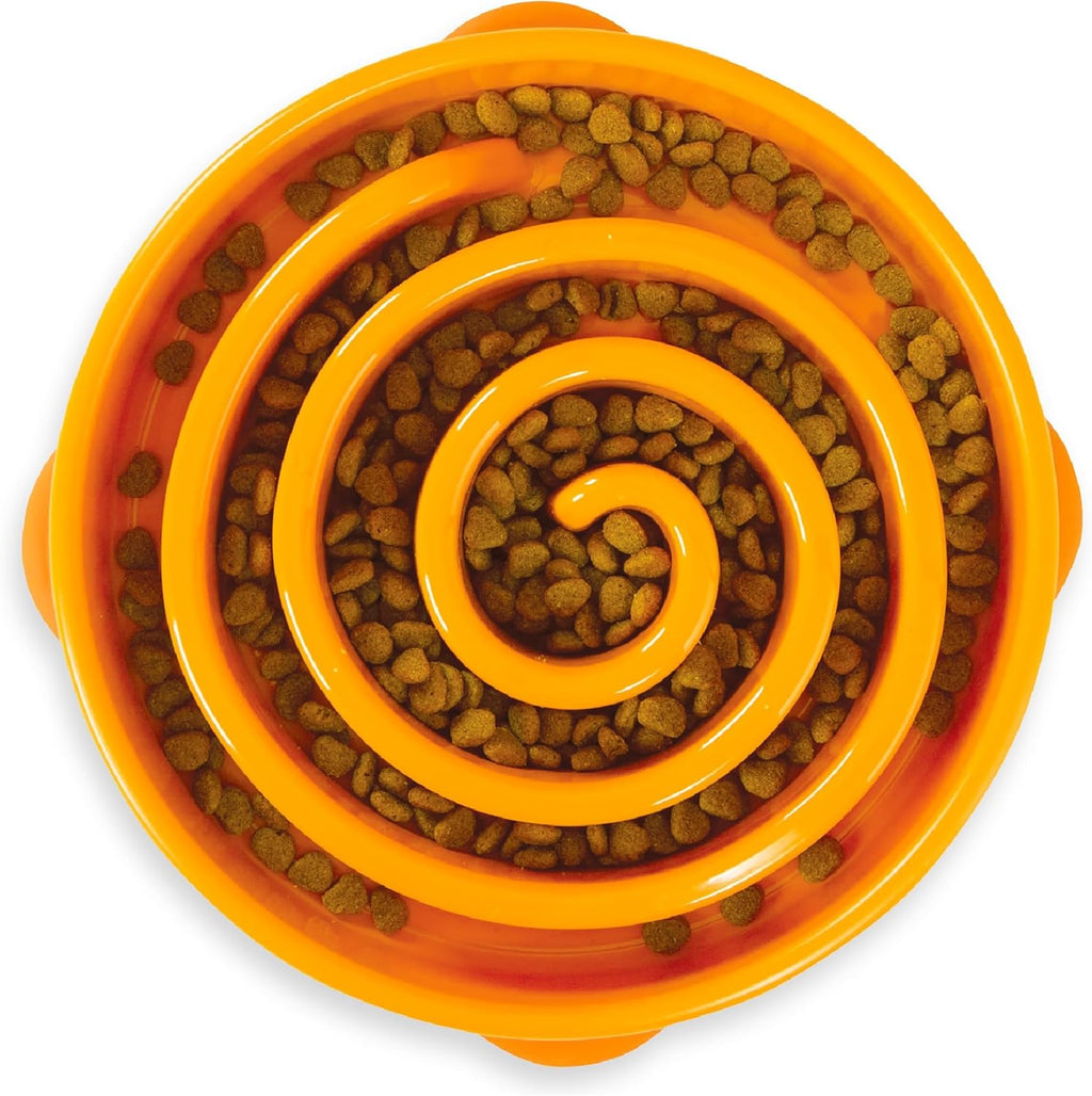 Slow Feeder Pet Bowl