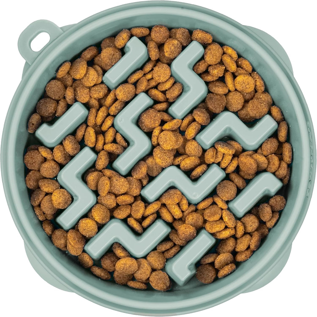 Slow Feeder Pet Bowl