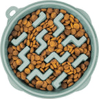 Slow Feeder Pet Bowl