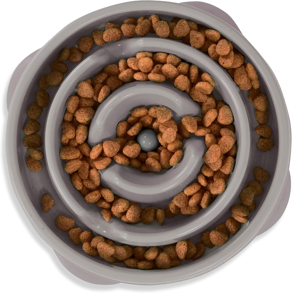 Slow Feeder Pet Bowl