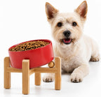 Raised Slanted Ceramic Pet Bowl