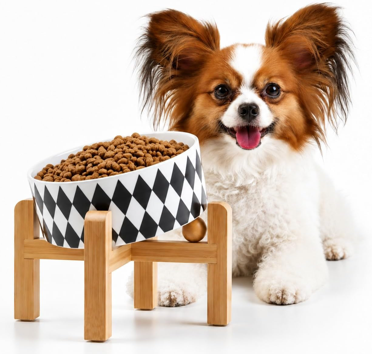 Raised Slanted Ceramic Pet Bowl