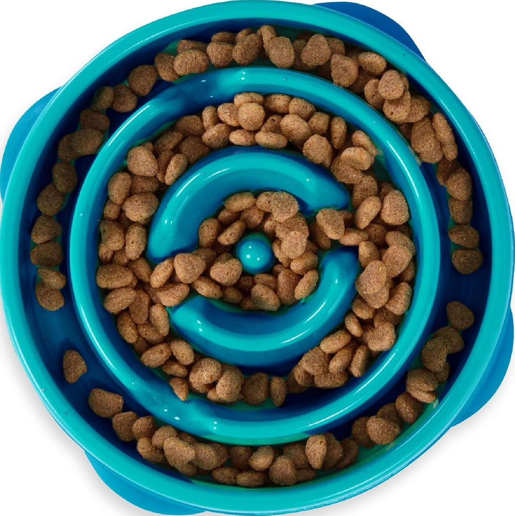 Slow Feeder Pet Bowl