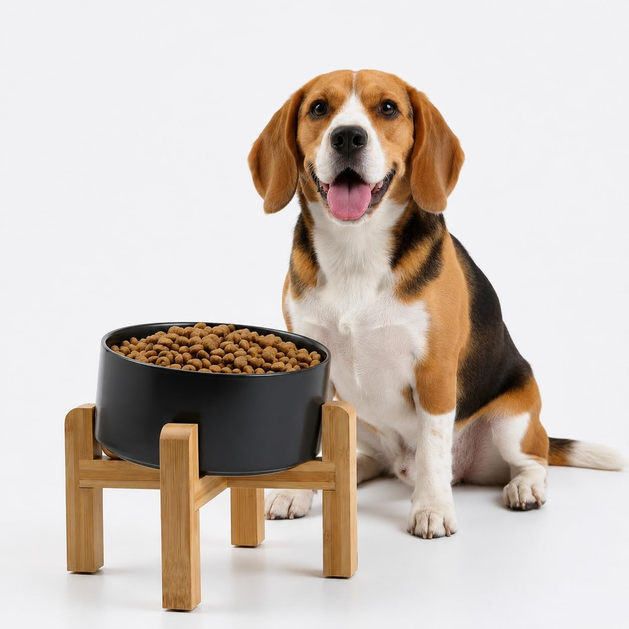 Raised Slanted Ceramic Pet Bowl