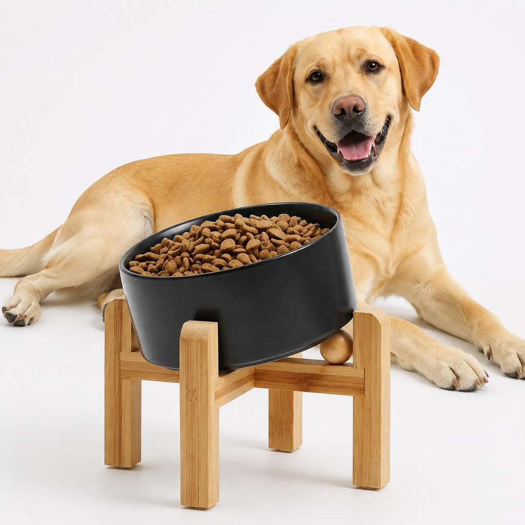 Raised Slanted Ceramic Pet Bowl