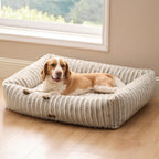 Cozy Orthopedic Corduroy Dog Bed