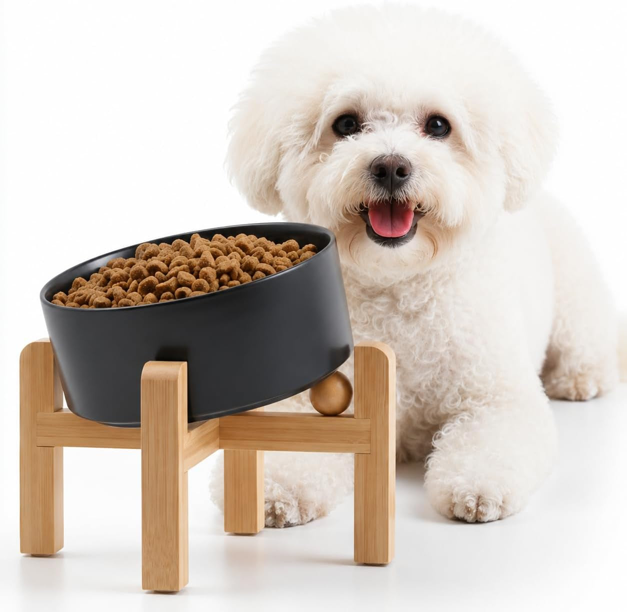 Raised Slanted Ceramic Pet Bowl