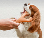 Durable Bacon Flavored Dog Chew Toy