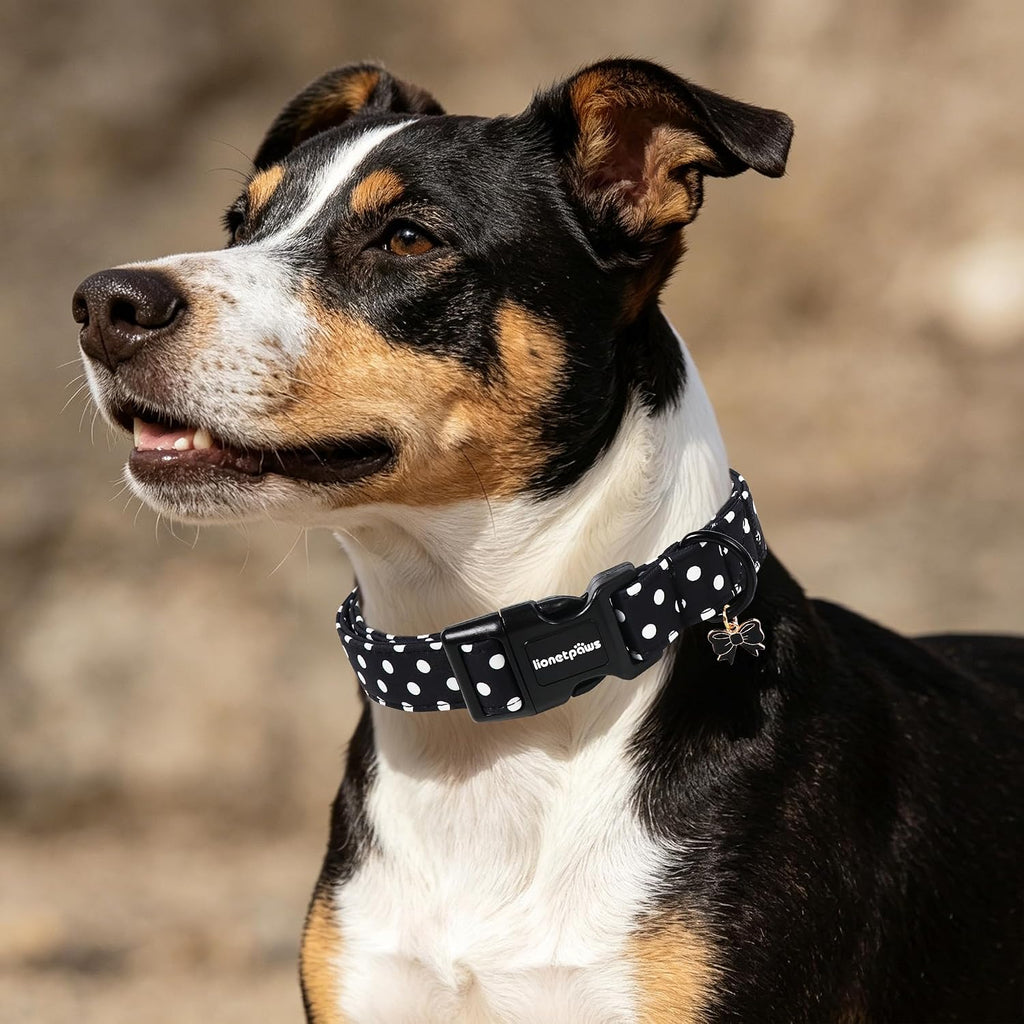Black Polka Dot Cotton Dog Collar