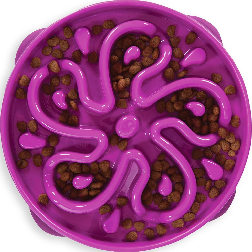 Slow Feeder Pet Bowl