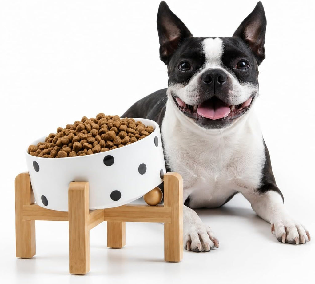 Raised Slanted Ceramic Pet Bowl