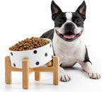 Raised Slanted Ceramic Pet Bowl