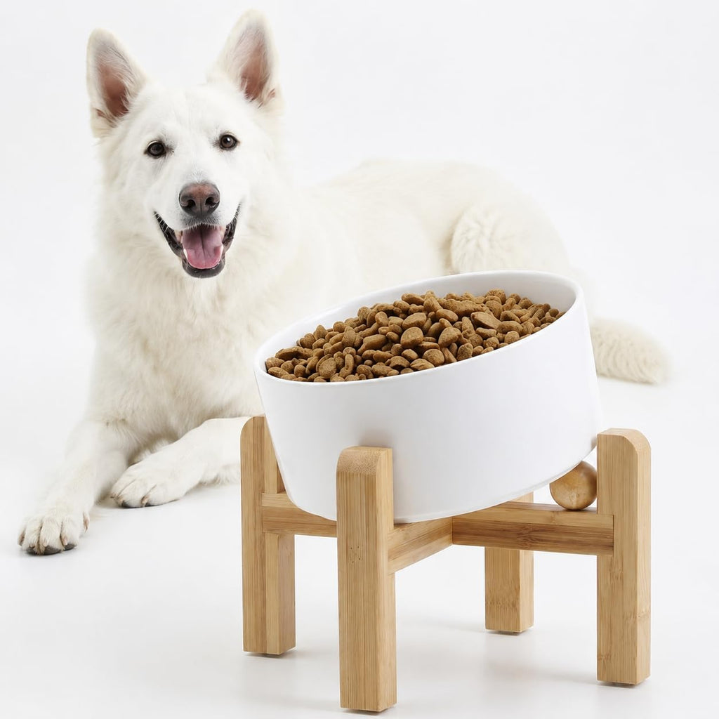 Raised Slanted Ceramic Pet Bowl