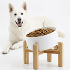 Raised Slanted Ceramic Pet Bowl