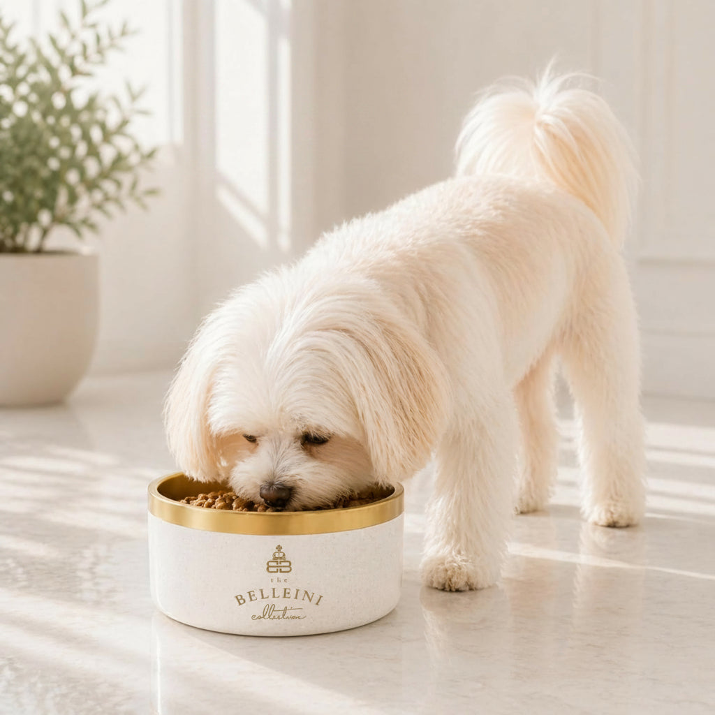Brushed Gold Terrazzo Dog Bowl