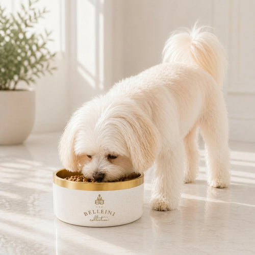 Brushed Gold Terrazzo Dog Bowl