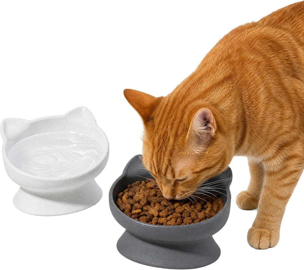 Elevated Cat Food & Water Bowls Set