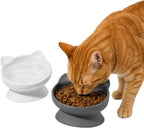 Elevated Cat Food & Water Bowls Set