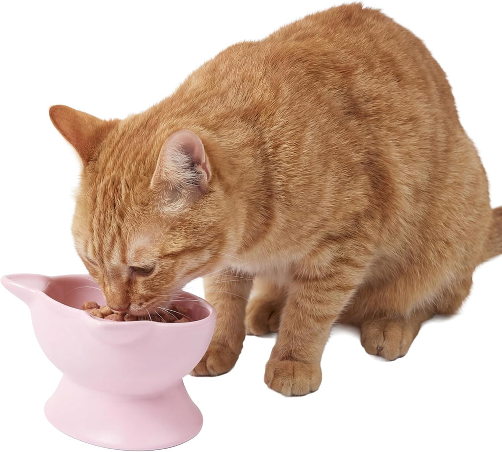 Elevated Cat Food & Water Bowls Set