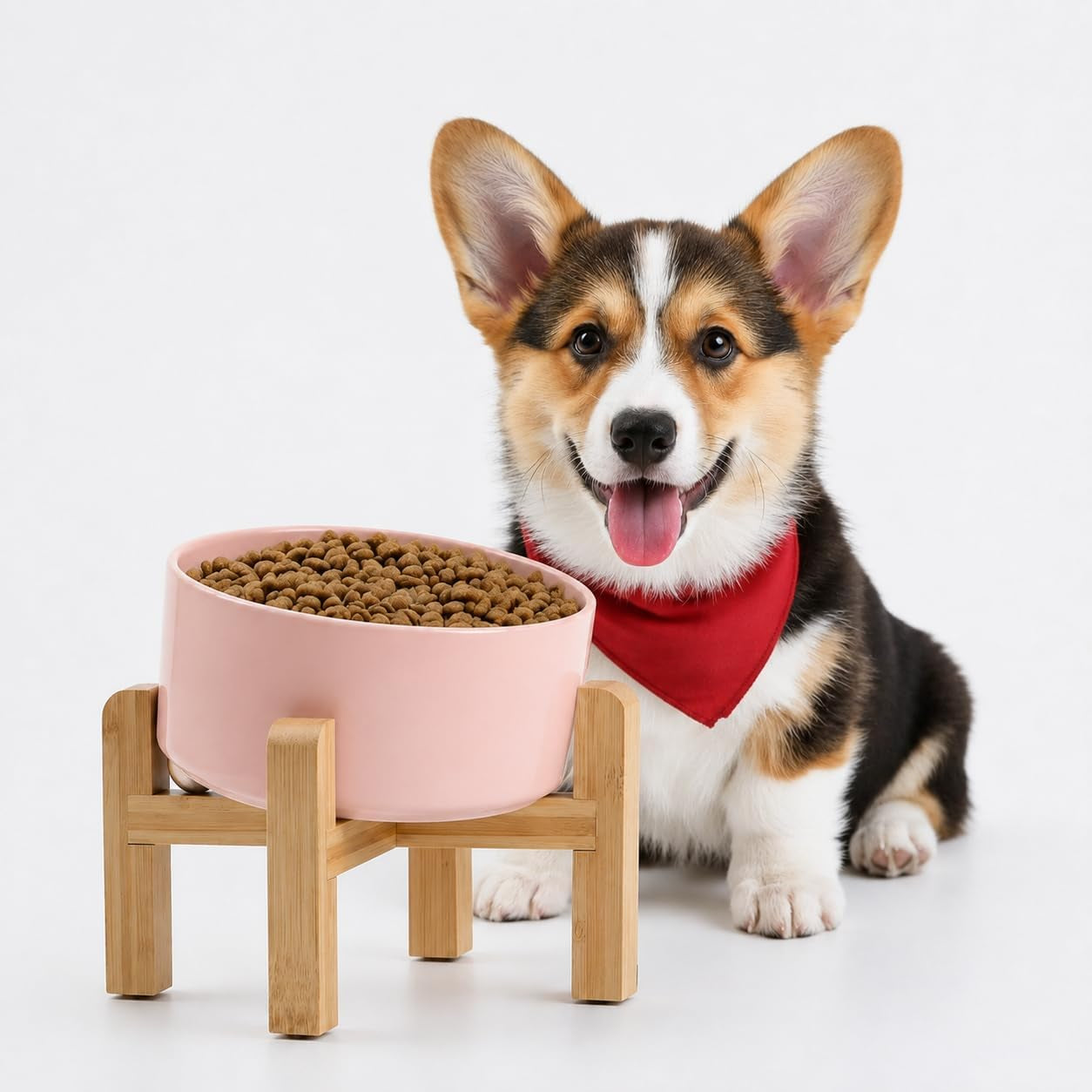 Raised Slanted Ceramic Pet Bowl