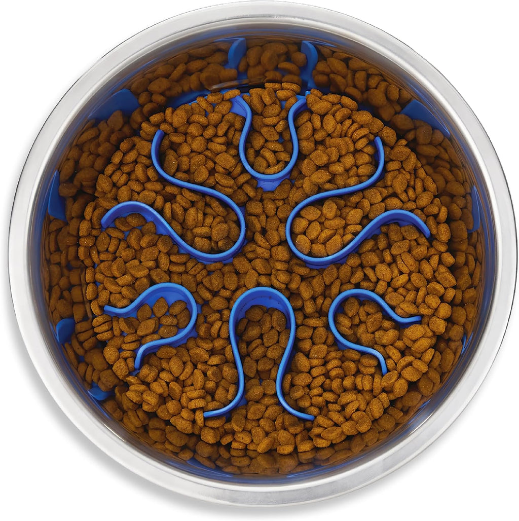 Slow Feeder Pet Bowl
