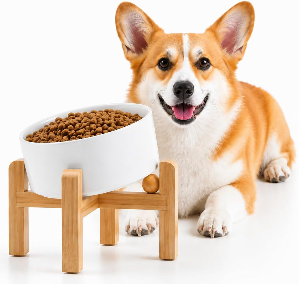 Raised Slanted Ceramic Pet Bowl
