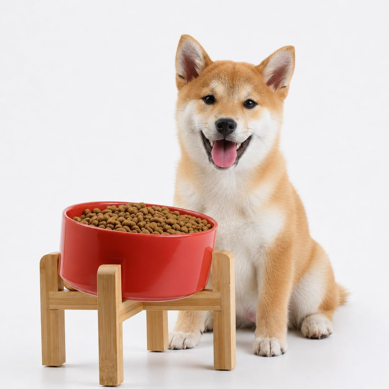 Raised Slanted Ceramic Pet Bowl