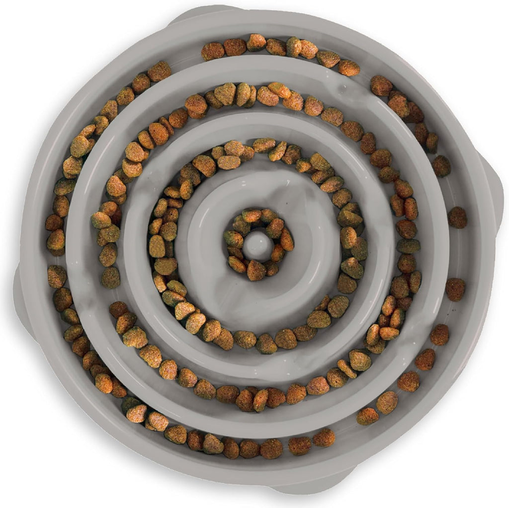 Slow Feeder Pet Bowl