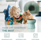 Cat Bowls,Ceramic Cat Bowls anti Vomiting,Raised Food and Water Bowl Set for Cats and Small Dogs,13.5 Oz,Green