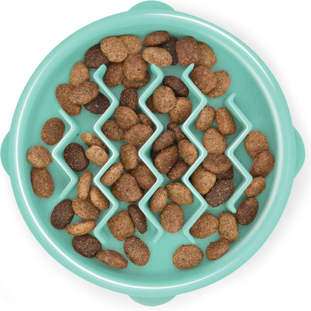 Slow Feeder Pet Bowl