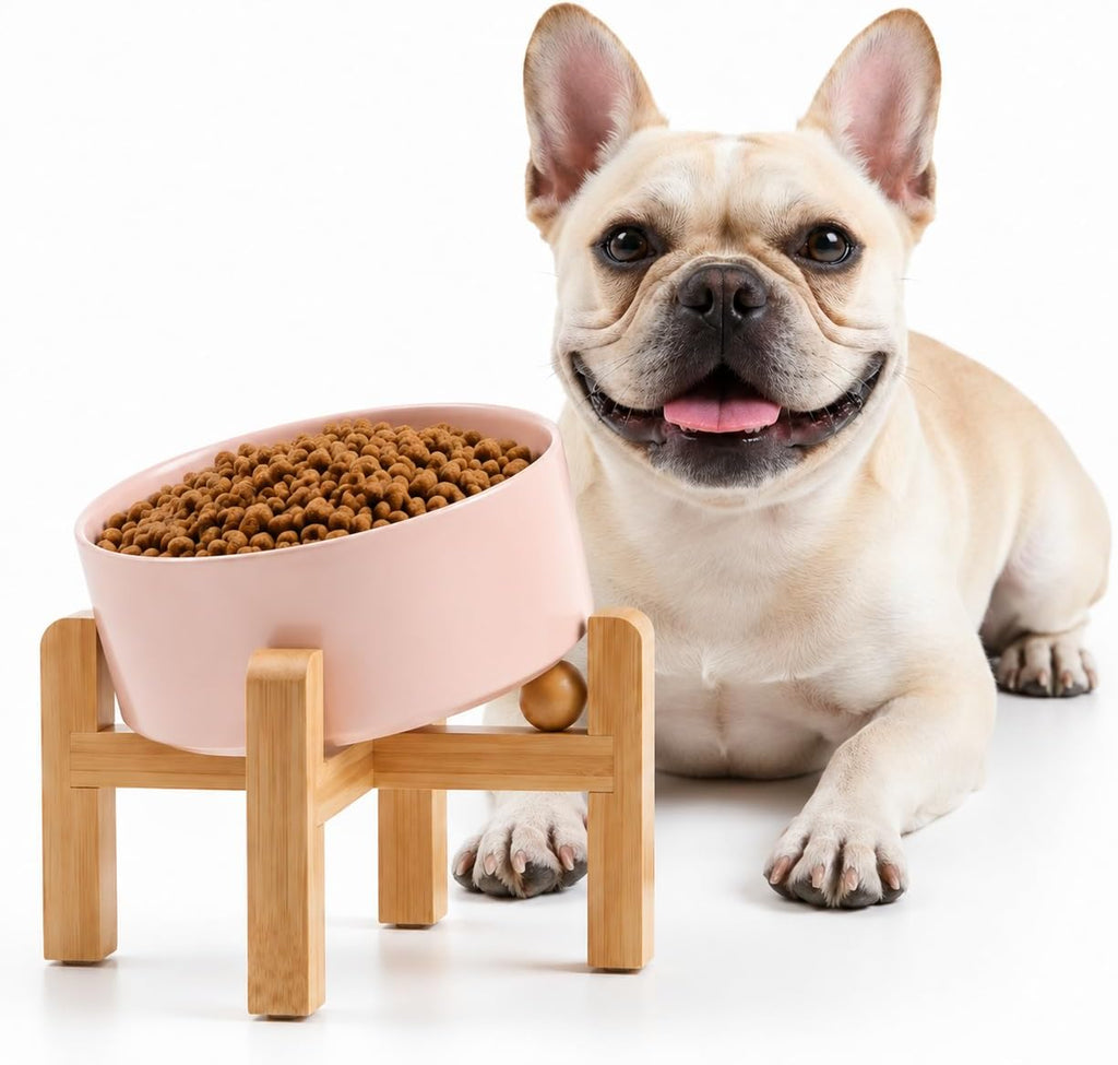 Raised Slanted Ceramic Pet Bowl