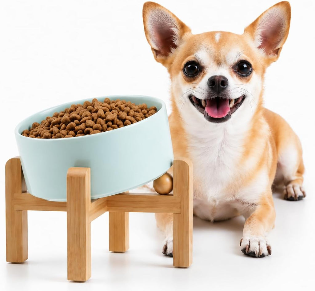 Raised Slanted Ceramic Pet Bowl