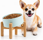 Raised Slanted Ceramic Pet Bowl