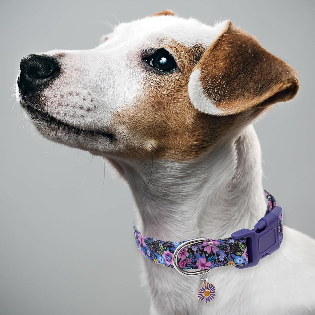 Purple Floral Cotton Dog Collar