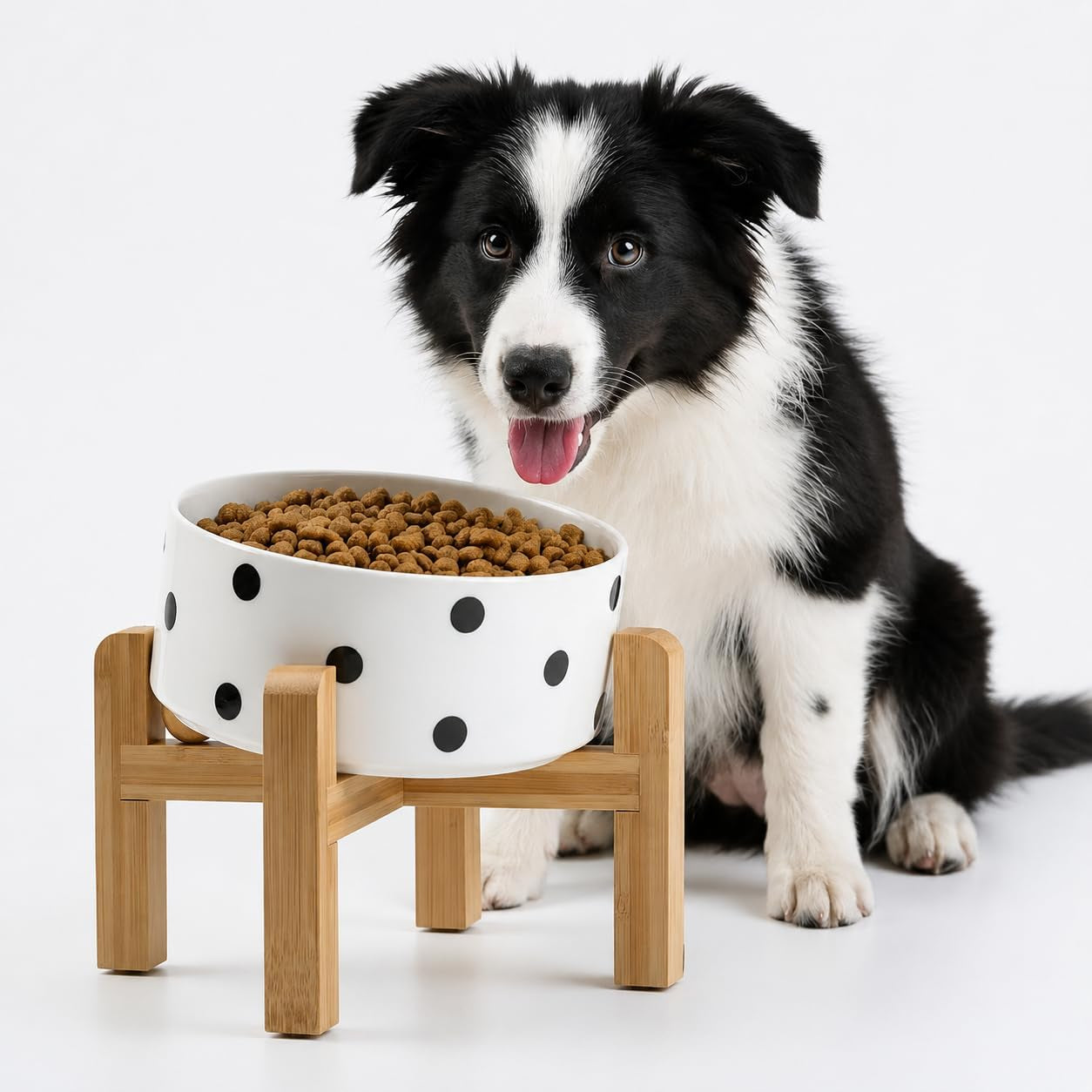 Raised Slanted Ceramic Pet Bowl