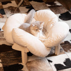 Elevated Wooden Cat Sofa Bed