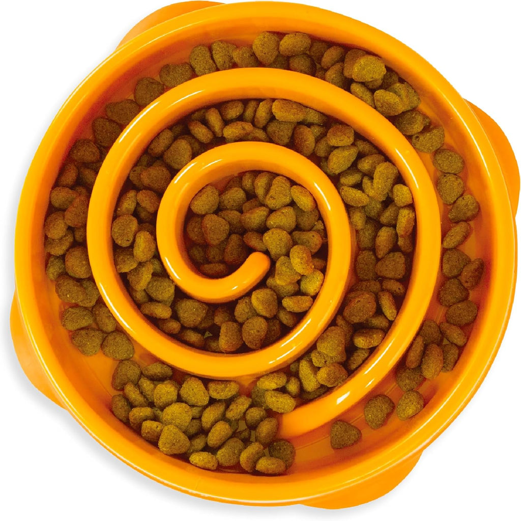 Slow Feeder Pet Bowl