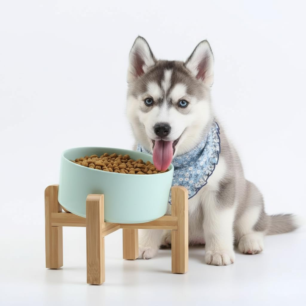 Raised Slanted Ceramic Pet Bowl