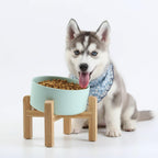 Raised Slanted Ceramic Pet Bowl